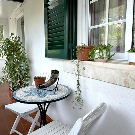 With Swimming Pool Apartmán